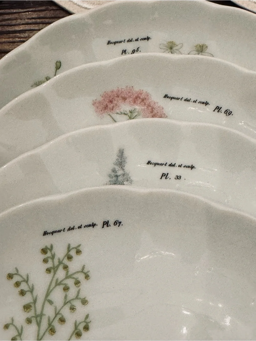 TASTE SETTER COLLECTION® Botanical Green and Pink  Scallop plates  Set - 4